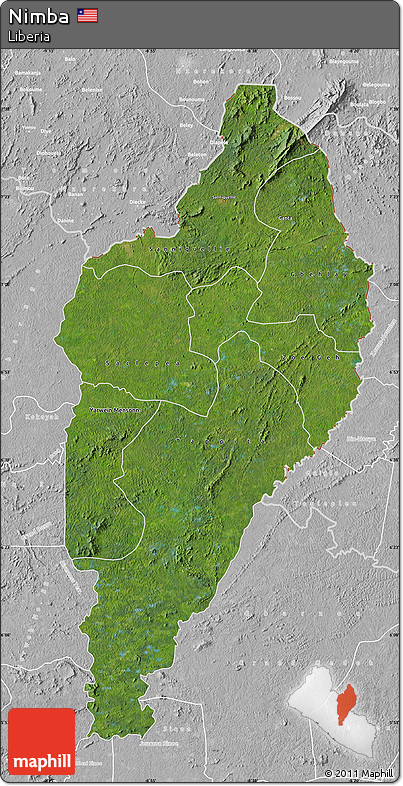 Satellite Map of Nimba, lighten, desaturated
