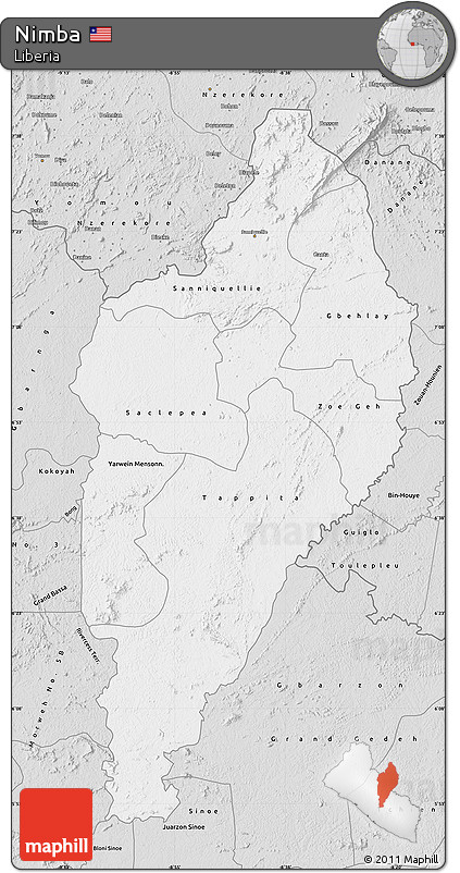 Silver Style Map of Nimba