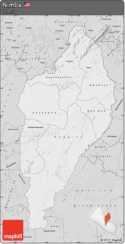 Silver Style Map of Nimba