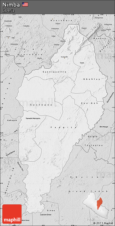 Silver Style Map of Nimba