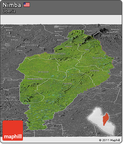 Satellite Panoramic Map of Nimba, desaturated