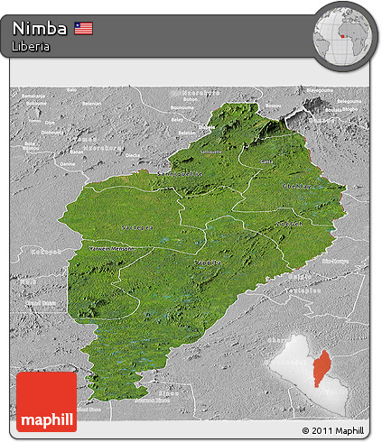 Satellite Panoramic Map of Nimba, lighten, desaturated