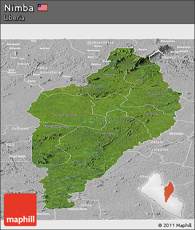Satellite Panoramic Map of Nimba, lighten, desaturated