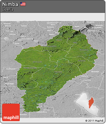 Satellite Panoramic Map of Nimba, lighten, desaturated