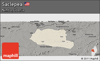 Shaded Relief Panoramic Map of Saclepea, darken, semi-desaturated