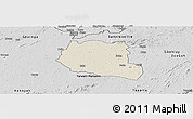 Shaded Relief Panoramic Map of Saclepea, desaturated