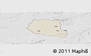 Shaded Relief Panoramic Map of Saclepea, lighten, desaturated