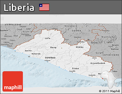 Gray Panoramic Map of Liberia