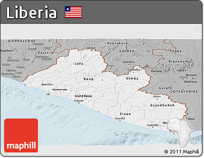 Gray Panoramic Map of Liberia