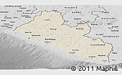 Shaded Relief Panoramic Map of Liberia, desaturated