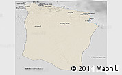 Shaded Relief Panoramic Map of Darnah, desaturated