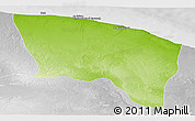 Physical Panoramic Map of Surt (Sirte), lighten, desaturated
