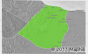 Political 3D Map of Zeleitin (Zliten), desaturated