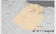 Satellite 3D Map of Zeleitin (Zliten), desaturated
