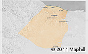 Satellite 3D Map of Zeleitin (Zliten), lighten, desaturated