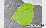 Physical Map of Zeleitin (Zliten), desaturated
