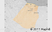 Satellite Map of Zeleitin (Zliten), lighten, desaturated