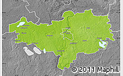 Physical Map of Alytaus, desaturated