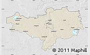 Shaded Relief Map of Alytaus, lighten, desaturated
