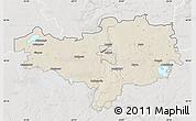 Shaded Relief Map of Alytaus, lighten, semi-desaturated