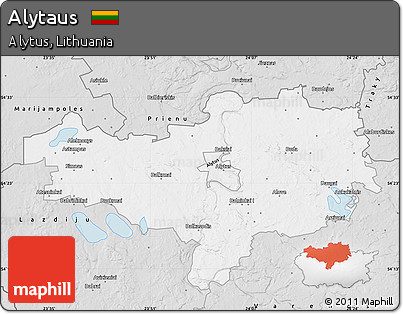 Silver Style Map of Alytaus