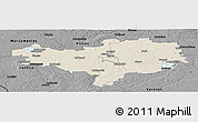 Shaded Relief Panoramic Map of Alytaus, darken, desaturated