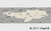 Shaded Relief Panoramic Map of Alytaus, darken, semi-desaturated