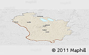 Shaded Relief Panoramic Map of Lazdiju, lighten, desaturated