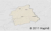 Shaded Relief 3D Map of Jonavos, lighten, desaturated