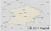 Shaded Relief 3D Map of Kaisiadoriu, desaturated