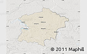 Shaded Relief Map of Kaisiadoriu, lighten, semi-desaturated