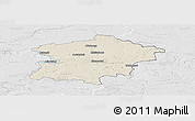 Shaded Relief Panoramic Map of Kaisiadoriu, lighten, desaturated
