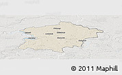 Shaded Relief Panoramic Map of Kaisiadoriu, lighten, semi-desaturated