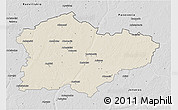 Shaded Relief 3D Map of Kedainiu, desaturated