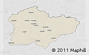 Shaded Relief 3D Map of Kedainiu, lighten, desaturated