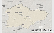 Shaded Relief 3D Map of Kedainiu, semi-desaturated
