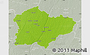 Physical Map of Kedainiu, lighten, semi-desaturated