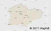 Shaded Relief Map of Kedainiu, single color outside