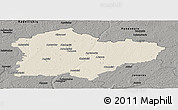 Shaded Relief Panoramic Map of Kedainiu, darken, semi-desaturated
