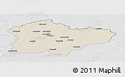 Shaded Relief Panoramic Map of Kedainiu, lighten, desaturated
