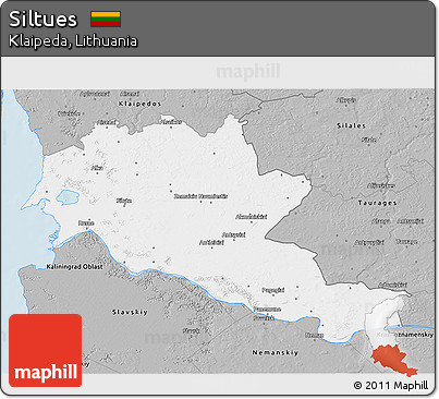 Gray 3D Map of Siltues