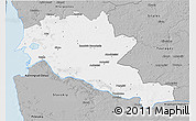 Gray 3D Map of Siltues