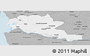 Gray Panoramic Map of Siltues