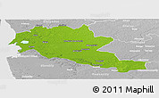 Physical Panoramic Map of Siltues, lighten, desaturated