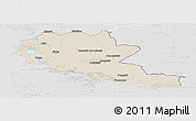 Shaded Relief Panoramic Map of Siltues, lighten, desaturated
