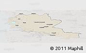 Shaded Relief Panoramic Map of Siltues, lighten, semi-desaturated