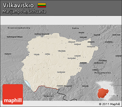 Shaded Relief 3D Map of Vilkaviskio, darken, desaturated