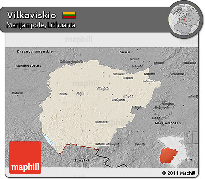 Shaded Relief 3D Map of Vilkaviskio, darken, desaturated