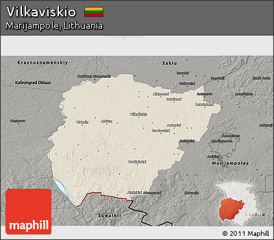 Shaded Relief 3D Map of Vilkaviskio, darken, semi-desaturated