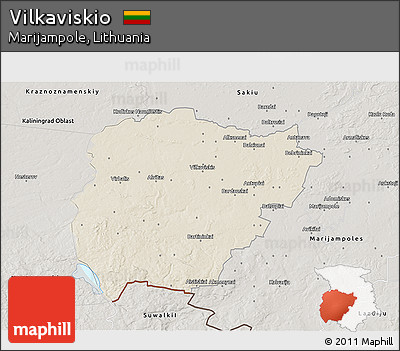 Shaded Relief 3D Map of Vilkaviskio, semi-desaturated